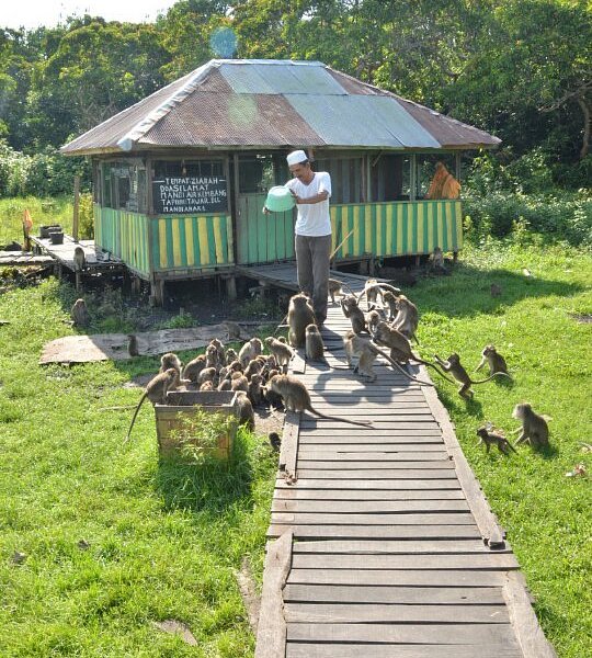 Kembang Island image