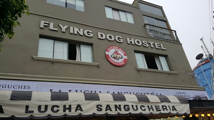 Imagen 18 de Flying Dog Hostel