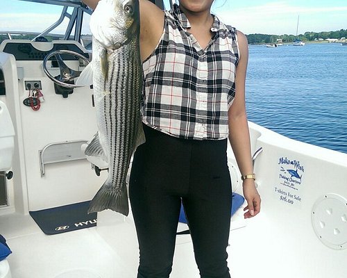 The 10 Best Saco Boat Rides Tours Water Sports Tripadvisor The 10 Best Saco Boat Rides Tours Water Sports Tripadvisor