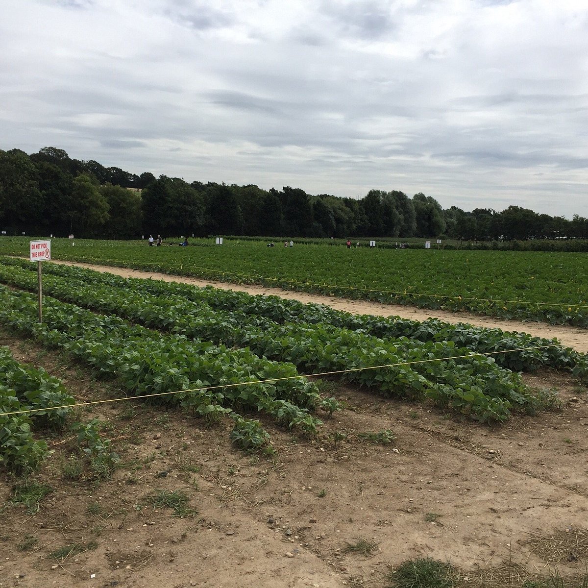 Parkside Farm Shop