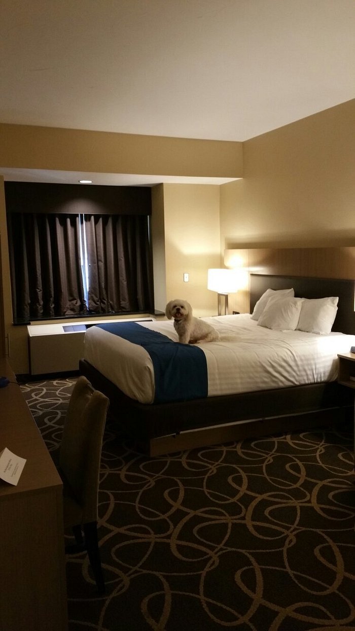 INN AT WINSTAR - Updated 2024 Hotel Reviews (Thackerville, OK)