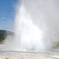 Daisy Geyser