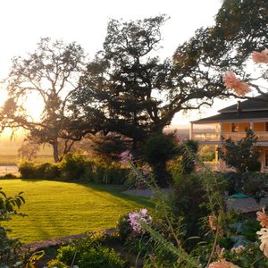 Estate Gardens & Vineyards.