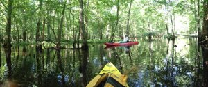 Pocomoke River Canoe Company (Snow Hill) - All You Need to Know BEFORE ...