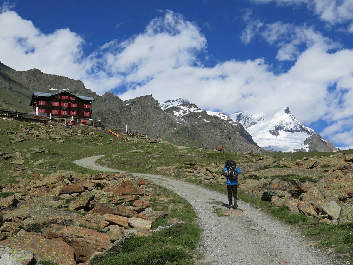 Zermatt Switzerland лошади