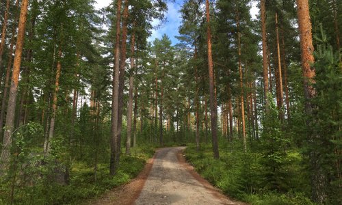 Kesälahti, Finland 2023: Best Places to Visit - Tripadvisor