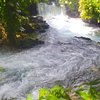 Things To Do in YARDY RIVER TOUR ADVENTURES .Jamaica best river activity.Tubing, reggae music, Restaurants in YARDY RIVER TOUR ADVENTURES .Jamaica best river activity.Tubing, reggae music