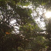 View in the morning