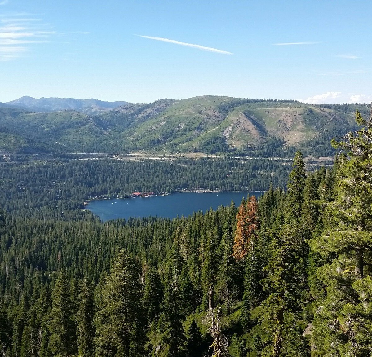 are dogs allowed at donner state park