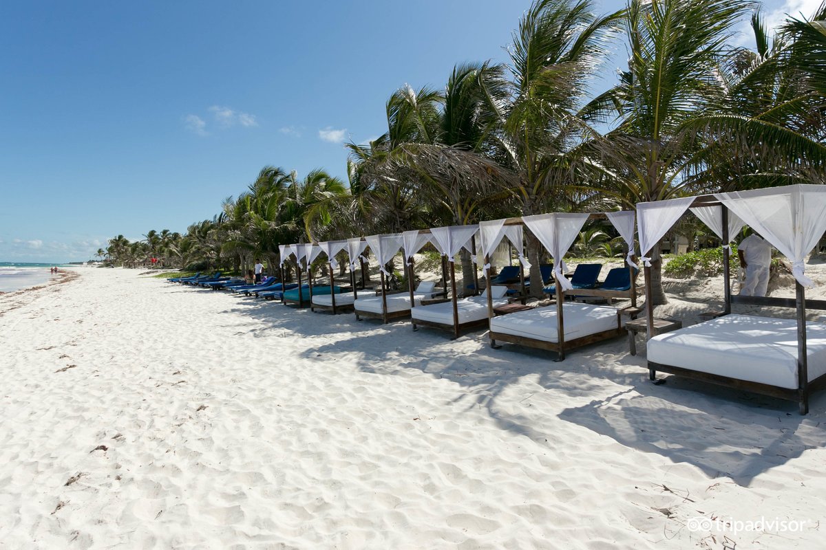 Selina Tulum Pool Pictures & Reviews - Tripadvisor