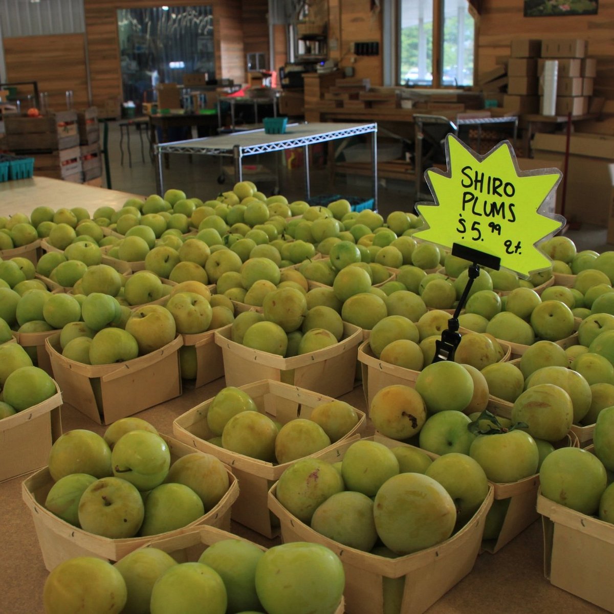 Produce - Lewis Fresh Market