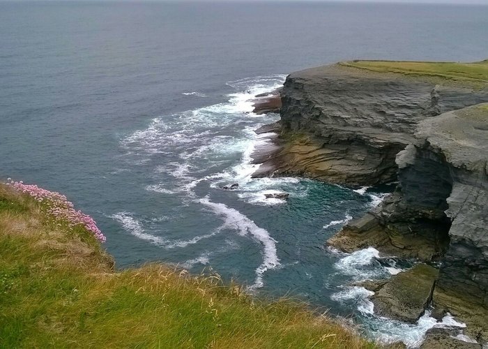 Limerick