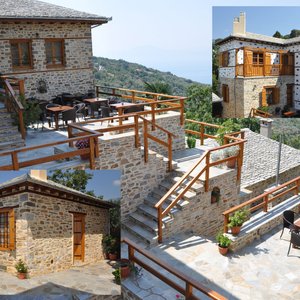 "ΑΡΧΟΝΤΙΚΟ ΚΩΤΗ"