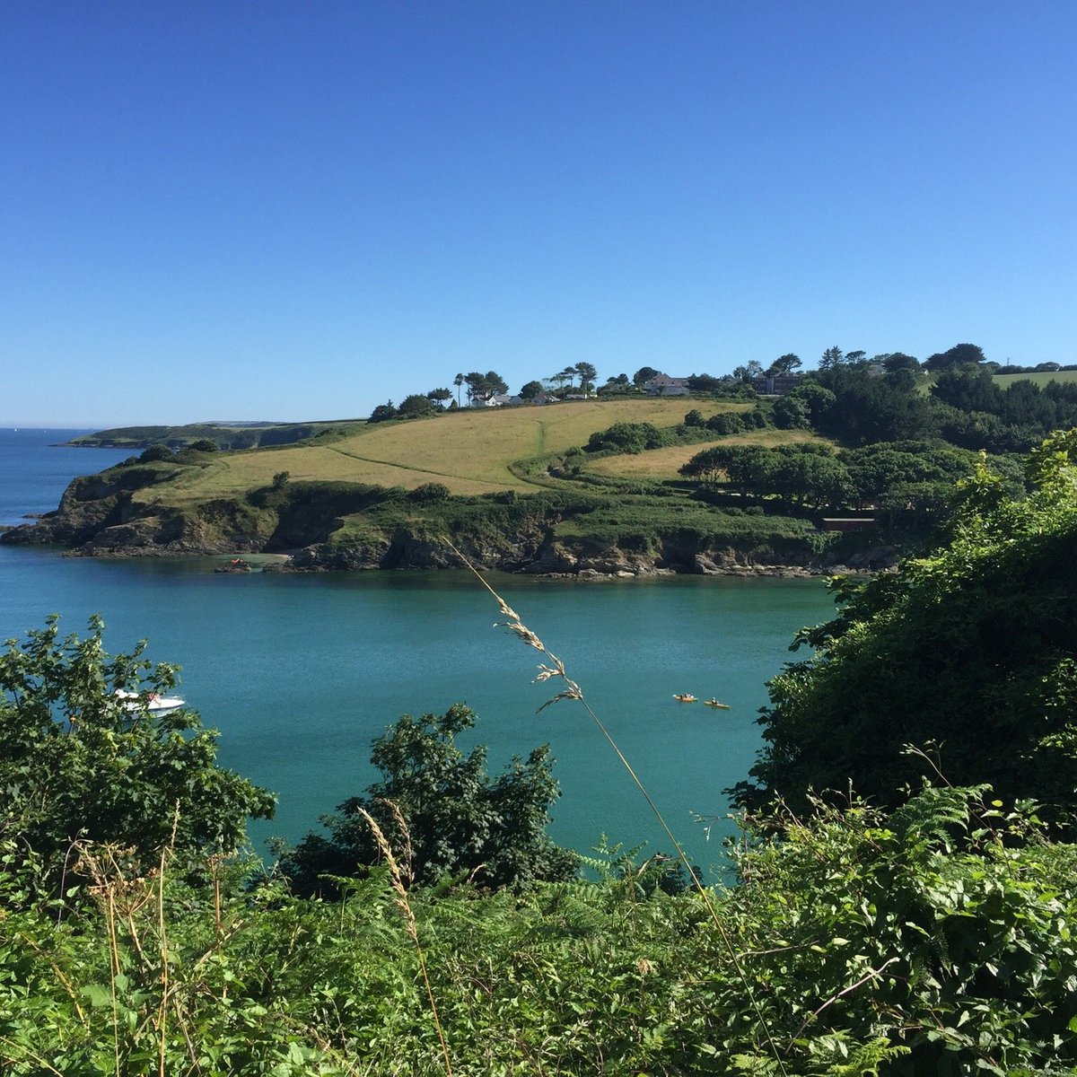 MAENPORTH TO SWANPOOL PATH WALK (2024) All You Need to Know BEFORE You ...