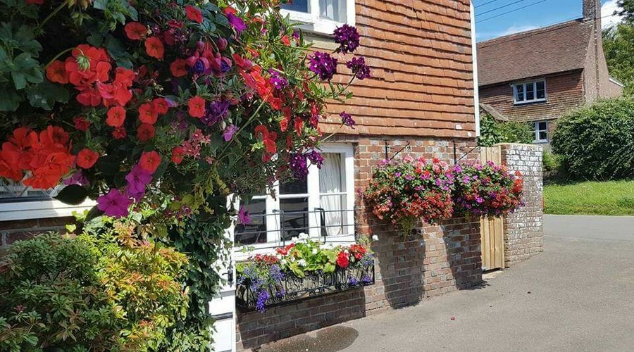 The Ash Tree Inn in bloom
