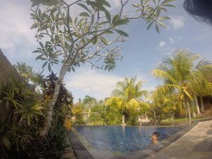 Wisatawan