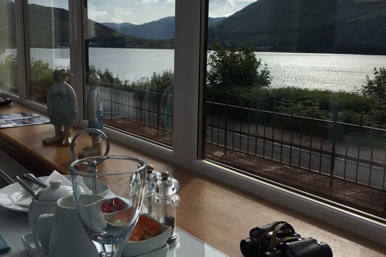 Breakfast in the conservatory