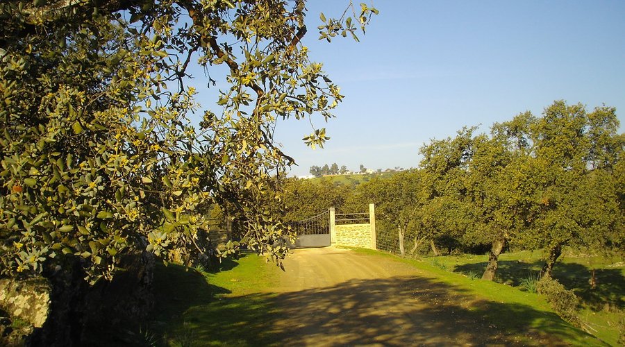 Entrada