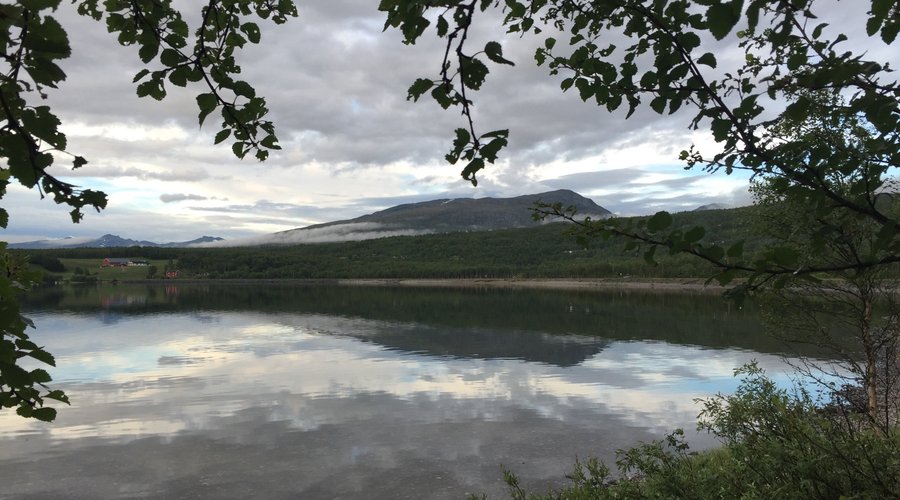 Skardsfjellet og Stuggusjøen 16.07.16