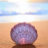 il_mare_in_valigia