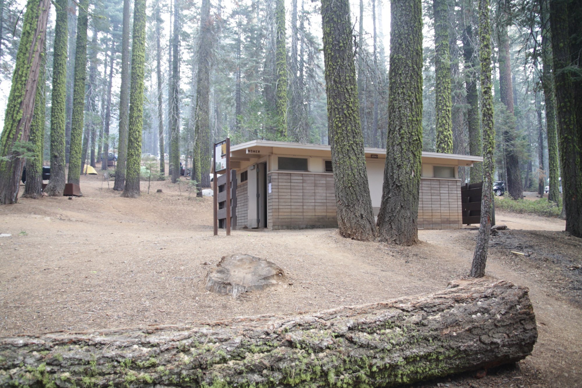 Crane Flat Campground by null