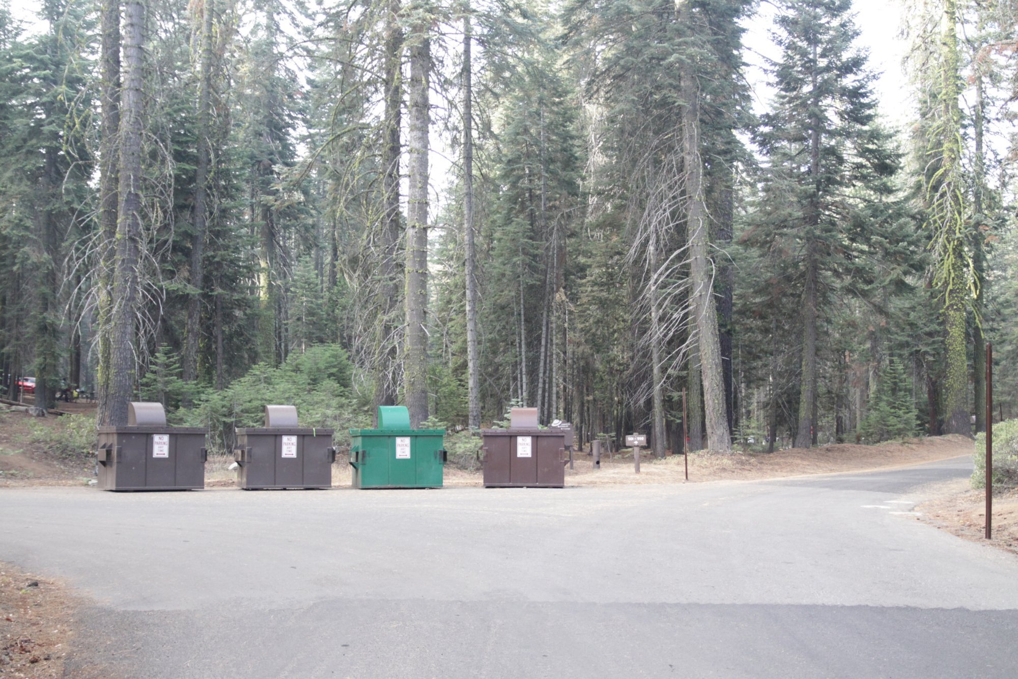 Crane Flat Campground by null