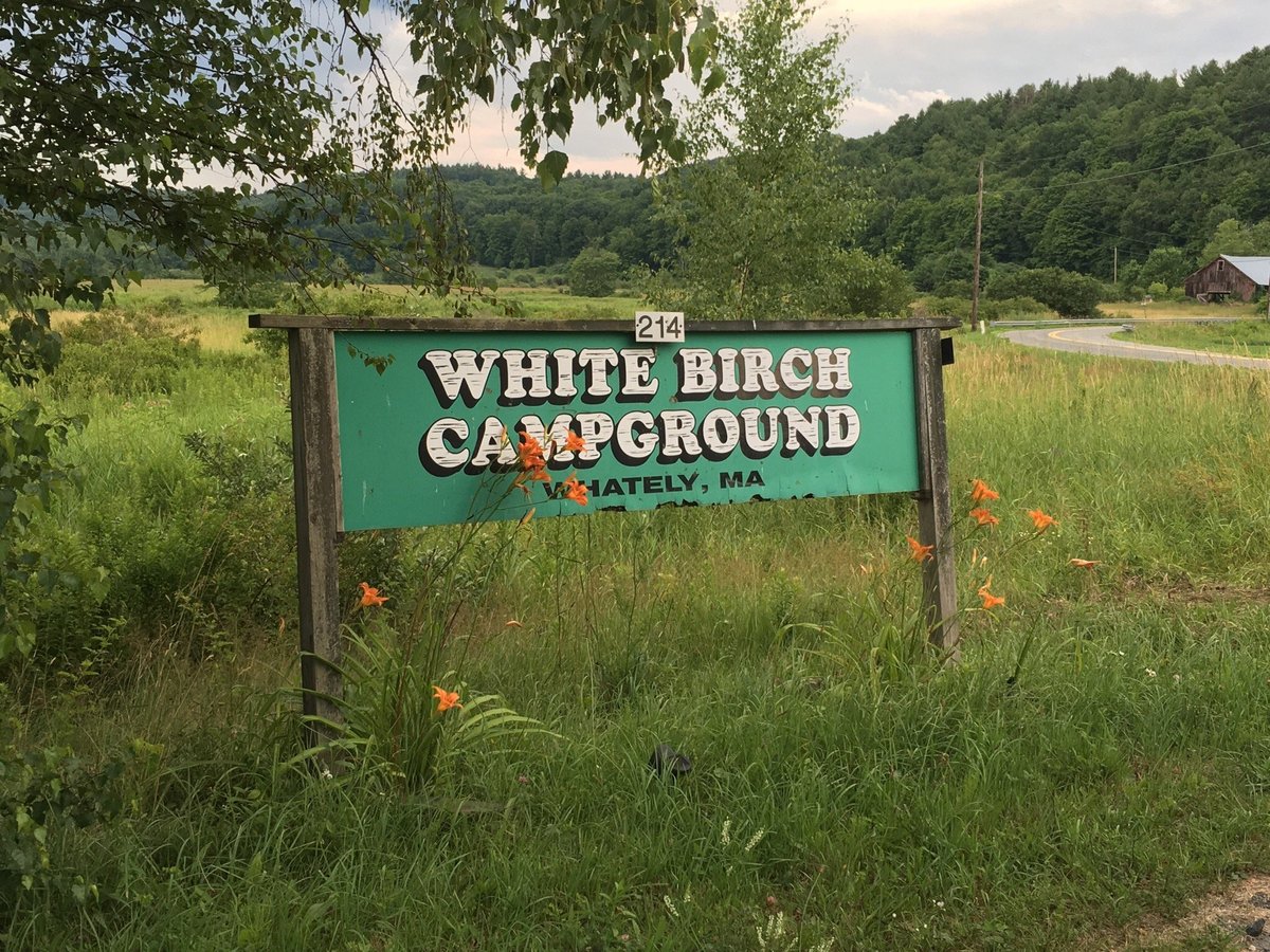 Escape to Nature's Embrace: A Guide to Massachusetts' White Birch Campground