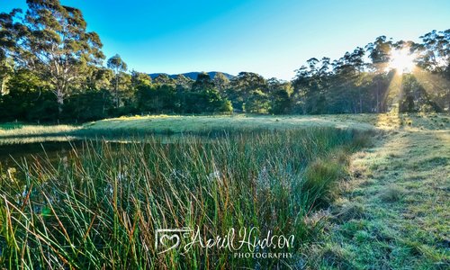 Couria Creek Cottages