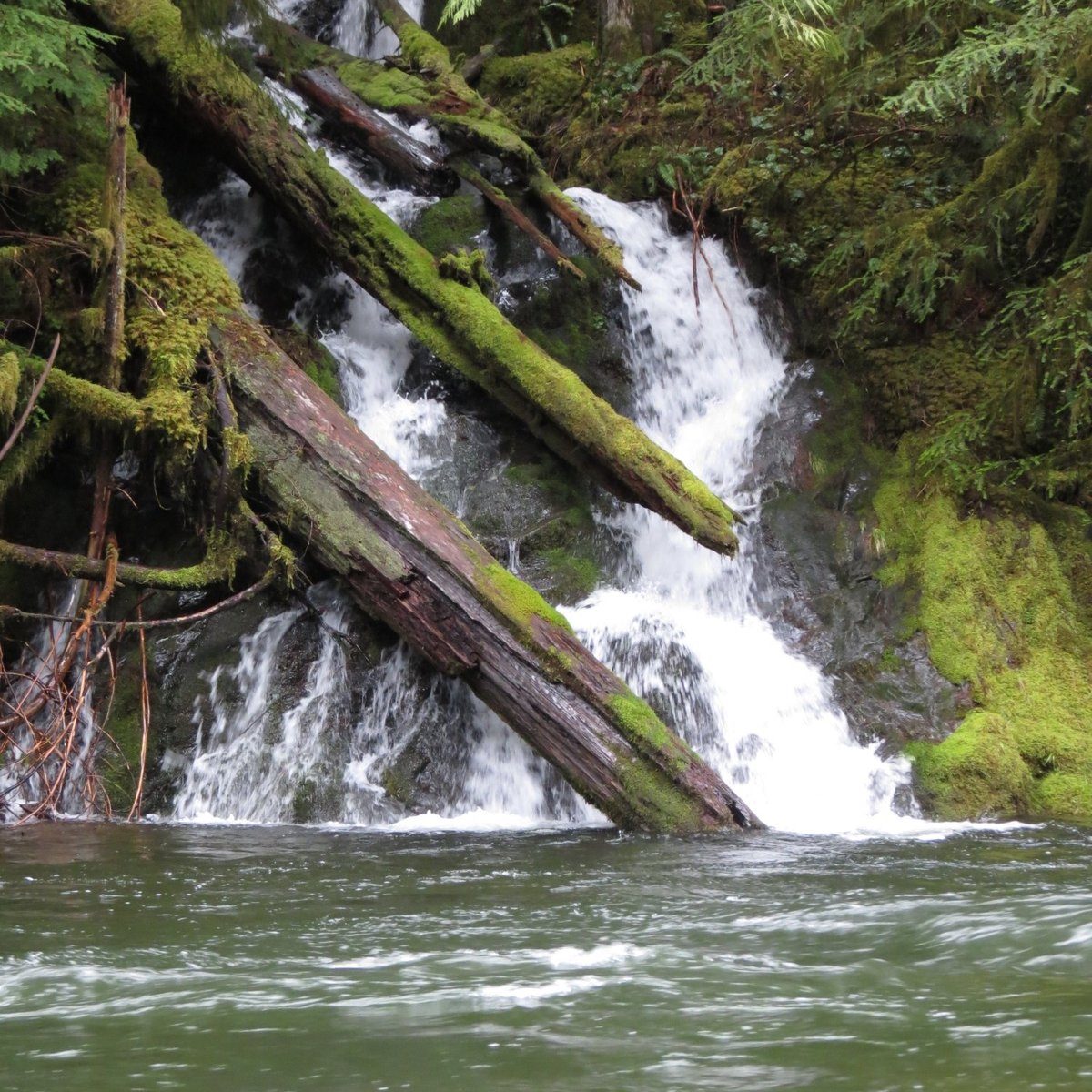 Salmon-Huckleberry Wilderness - All You Need to Know BEFORE You Go (2024)