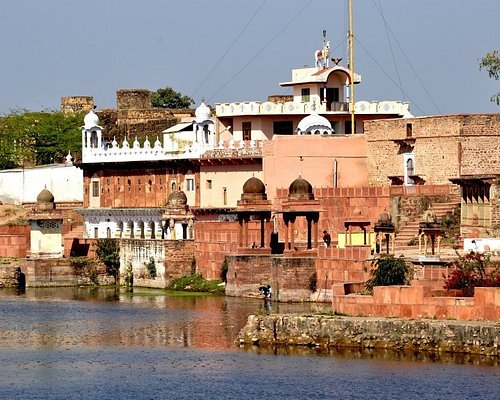 dholpur best time to visit