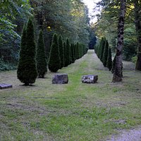 Allée menant au cimetière