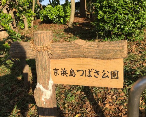 大田区の公園 自然 ベスト10 トリップアドバイザー