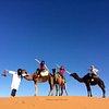 Sahara Camel Trips