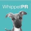Whippet K