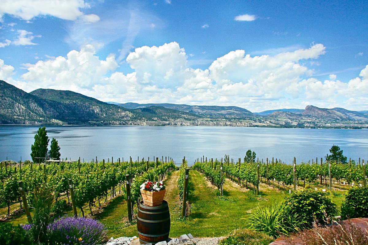 winery tour penticton