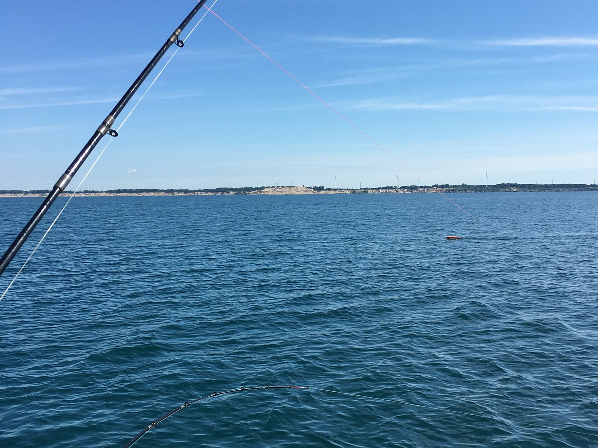 South Coast Fishing Charters - All You Need to Know BEFORE You Go