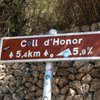 Honor-10