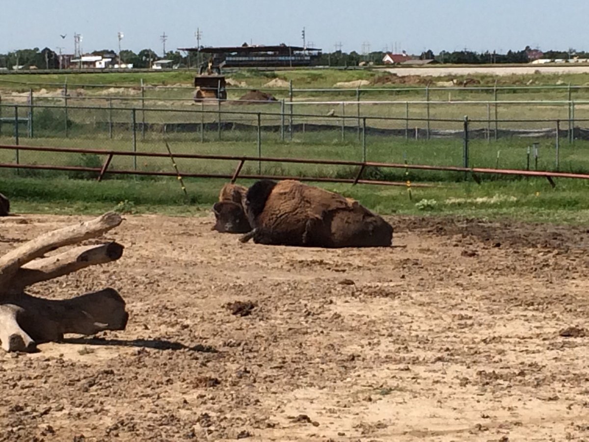 Things To Do In Dodge City