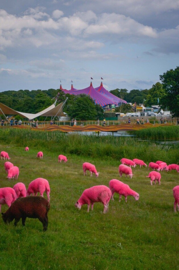 Latitude Festival (Southwold) - All You Need to Know BEFORE You Go