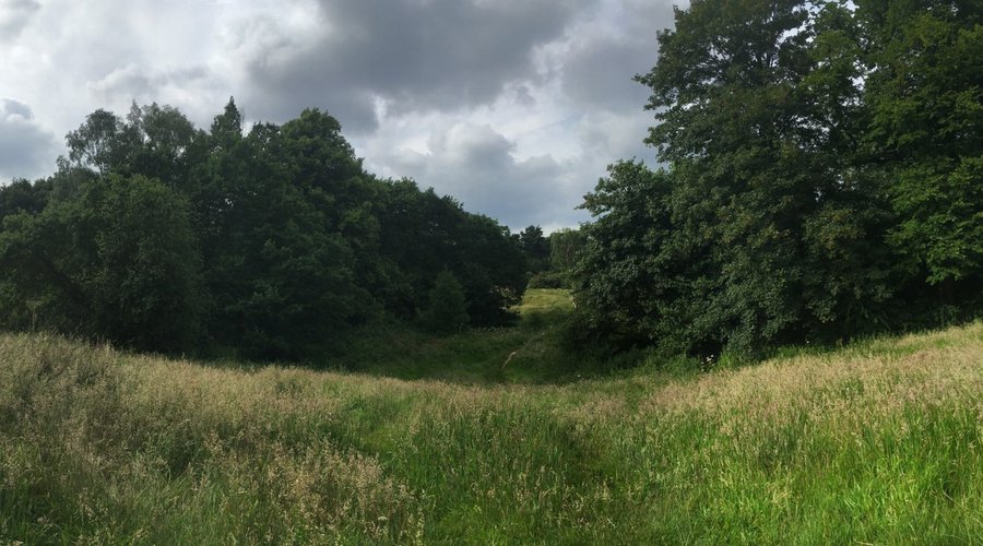 The Heath ... Which is just up the road a bit… What a gorgeous place to walk around