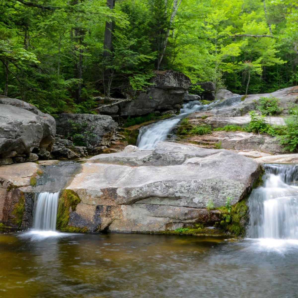 Step Falls Preserve Hiking Trail (Newry) : 2021 Ce qu'il faut savoir ...