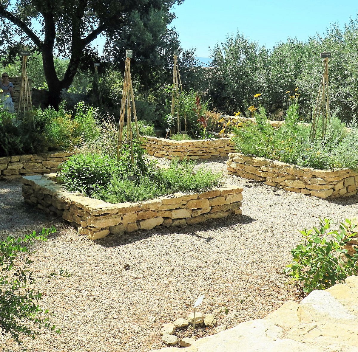 Le jardin de Bel-Air, jardin botanique incontournable à visiter.