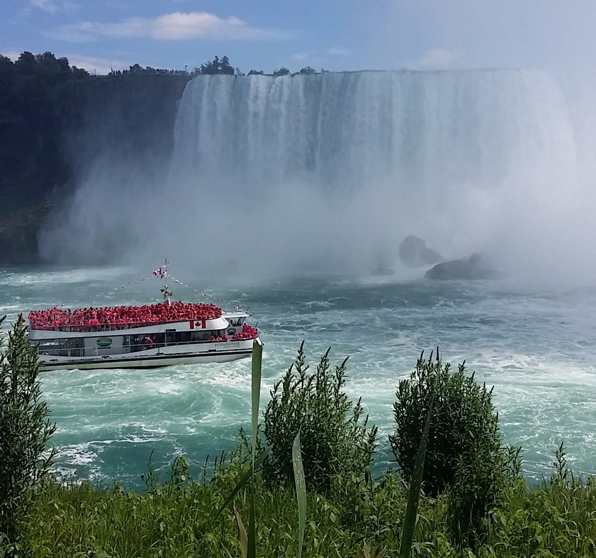 scenic tours of niagara reviews