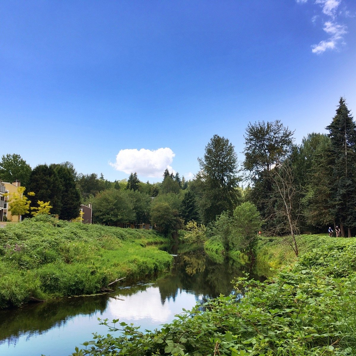 River trails. Sammamish, Washington. Sammamish.