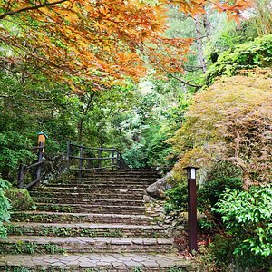 21年 神奈川県で絶対外さないおすすめ観光スポットトップ10 定番から穴場まで トリップアドバイザー