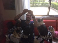 Pug Cafe Living Room Kyoto 21 All You Need To Know Before You Go With Photos Tripadvisor Pug Cafe Living Room Kyoto 21 All You Need To Know Before You Go With Photos Tripadvisor