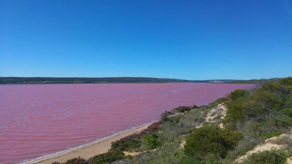 Pink Lake Kalbarri Map Pink Lake (Kalbarri) - All You Need To Know Before You Go