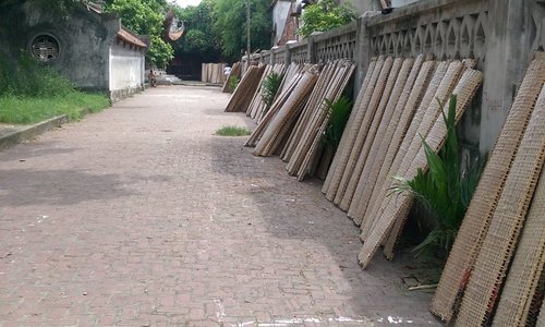 View of rice boards