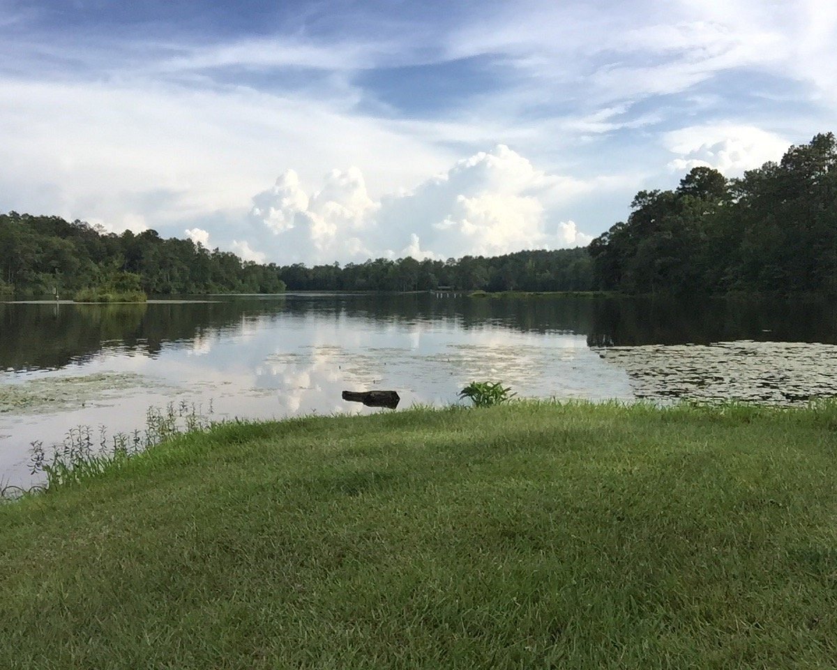 Payne Lake Recreation Area (Moundville) - All You Need to Know BEFORE ...