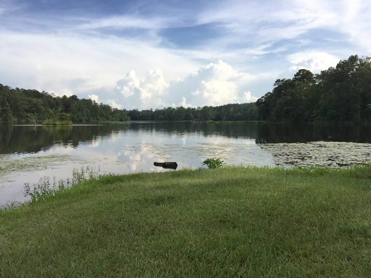 Escape To Serenity: Your Guide To Payne Lake Recreation Area